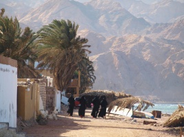 Бедуинки. Берег Ассала