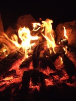 Тепло огня