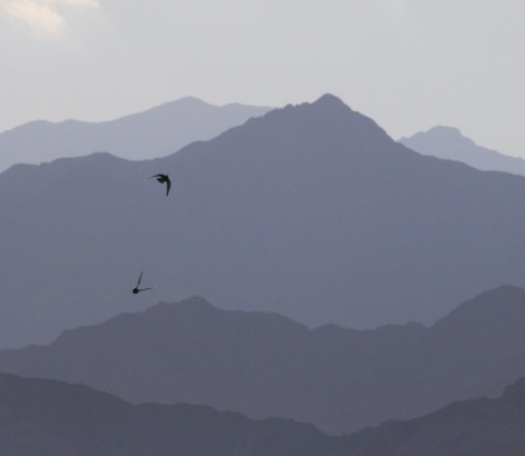 Голубые горы Синая